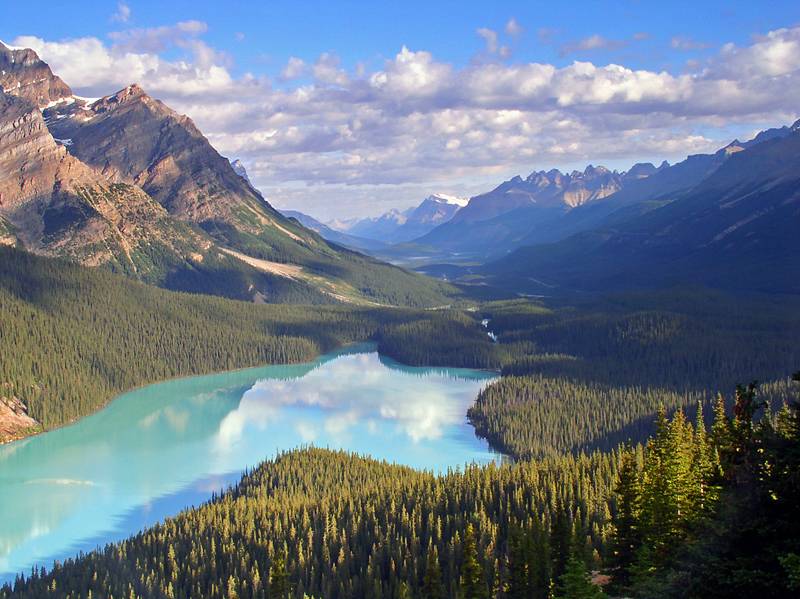 Peyto Lake/Bow Summit II