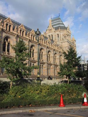 Visiting the Museum of Natural History (gorgeous building, but didn't like the collections of bird parts)