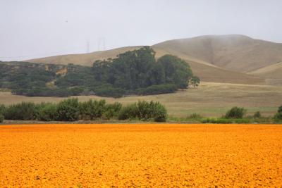 Driving inland, near San Luis Obispo