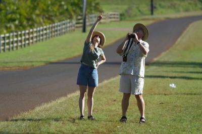 Cynthia and Renney, birdwatching