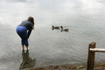 Crescent Lake and ducks