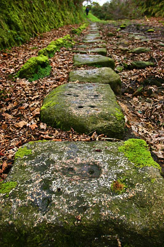 Dec 11: Gonamena