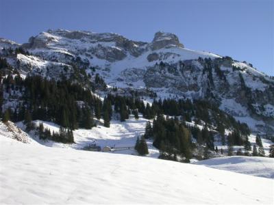 Heuboden-Alp