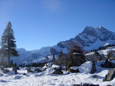 links:  Bifertenstock,  Bildmitte:  Tdi (3620m .M.) rechts: Ortstock