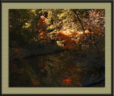 Still Waters  B