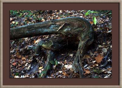 Ol' Stumpy