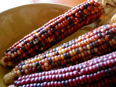 Maize In Yellow Ceramic Bowl