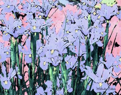 Iris W.C. and Dot 00011.jpg