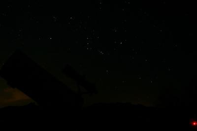 Orion