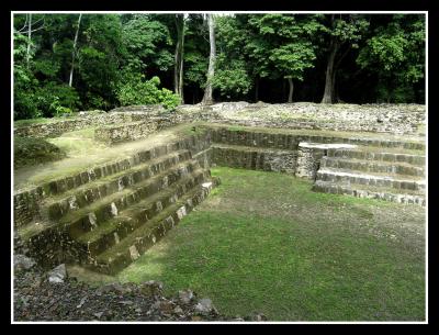 u8/wvphoto/medium/37512756.Mayanexcavationcopy.jpg