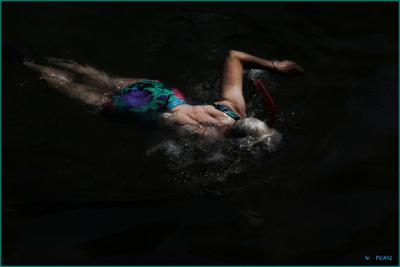 IMG_4960.jpg