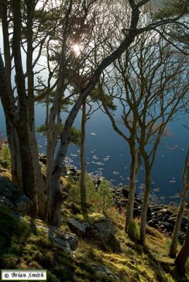 Water at Sron a' Mhill, Portree