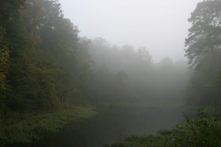 misty pond.JPG