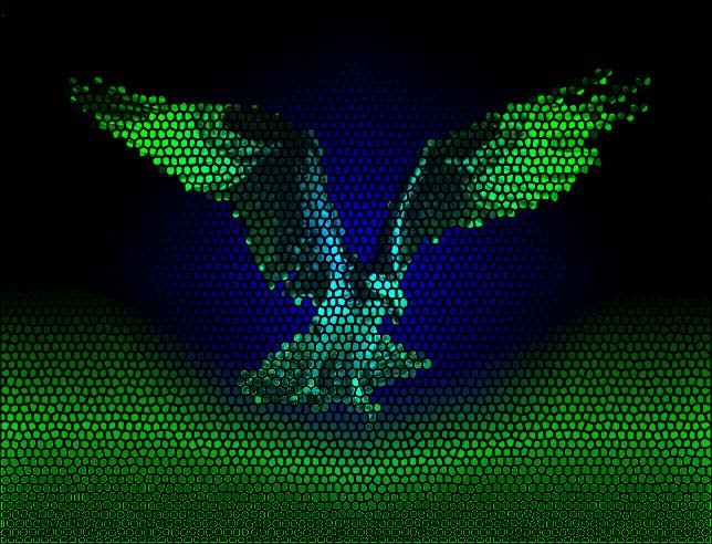 solarize osprey.jpg