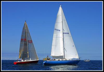 IMG_6993.jpg