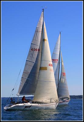 IMG_7007.jpg