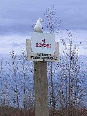 No Trespassing