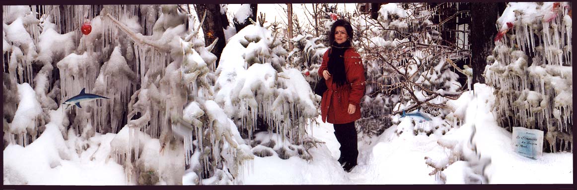 My Xmas Tree Cemetery 1999