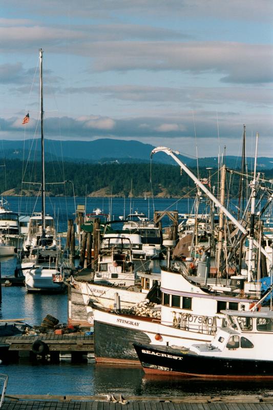 Friday Harbor