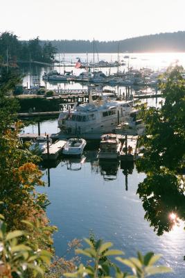 Roche Harbor