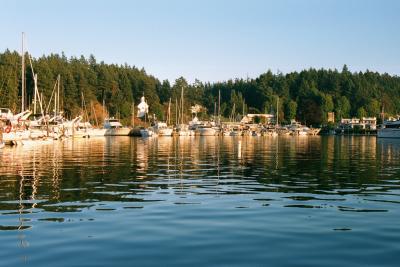 Roche Harbor evening