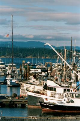 Friday Harbor