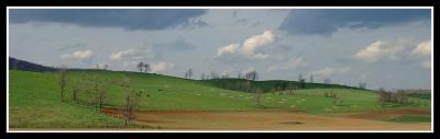 The Fields are Ready for Planting in SW Virginia!