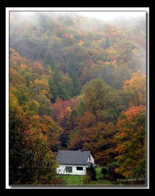 Afternoon fog and mist descends upon the Mountain