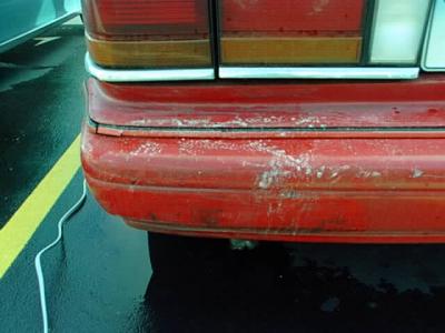 u9/benace/medium/6630035.C32_Img.jpg