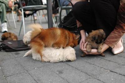 Oct8a_04_067.JPG