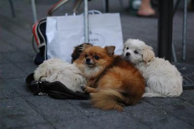 Oct8a_04_142.JPG