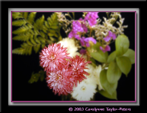 u9/bklyncmt/upload/12898905.2003B024.jpg