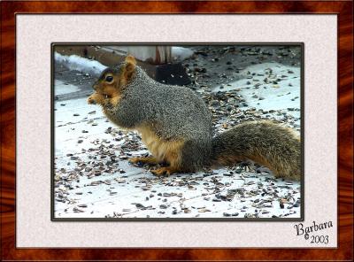 squirrel at lunch 3d framed.jpg