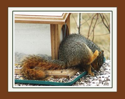 gotta an itch  framed.jpg