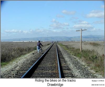 0P4066815_BikingRailsIF.jpg