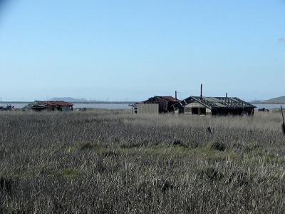 0P4066819_HousesIF.jpg