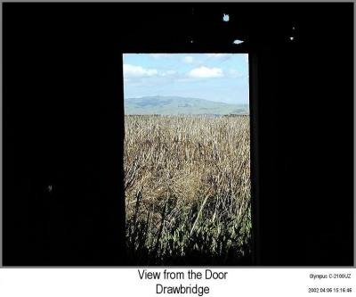 0P4066825_FramedMtnsIF.jpg