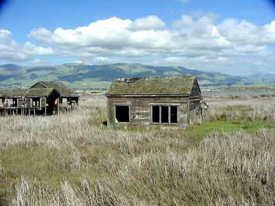 0P4066836_HousesIF.jpg