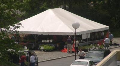 plant sale tent behind the hotel