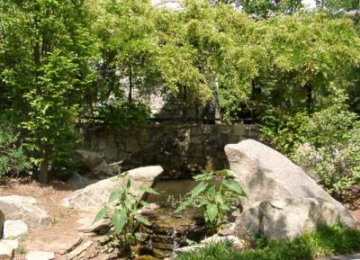 Lewis Vaughn Botanical Garden