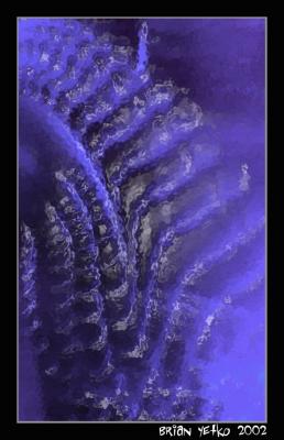 Liquid 2