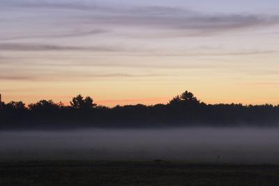 Sunrise on the bogs