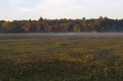 slt_beatonbogs_119.jpg