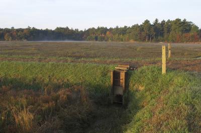 slt_beatonbogs_123.jpg