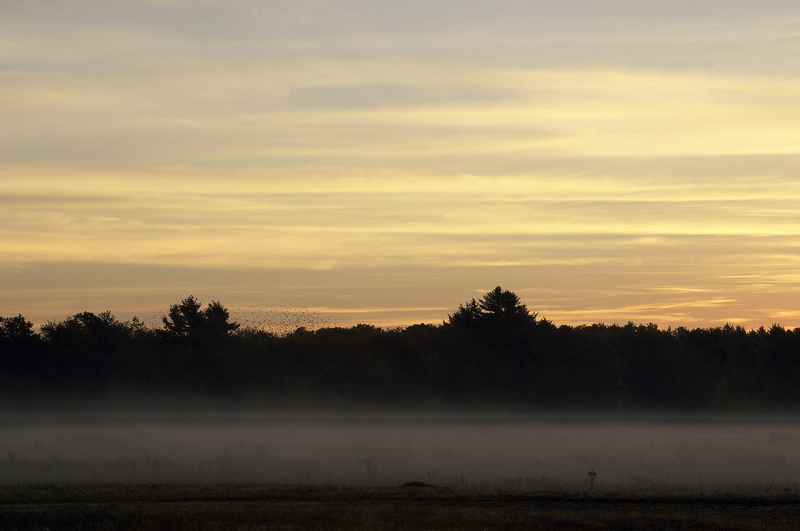 slt_beatonbogs_056.jpg