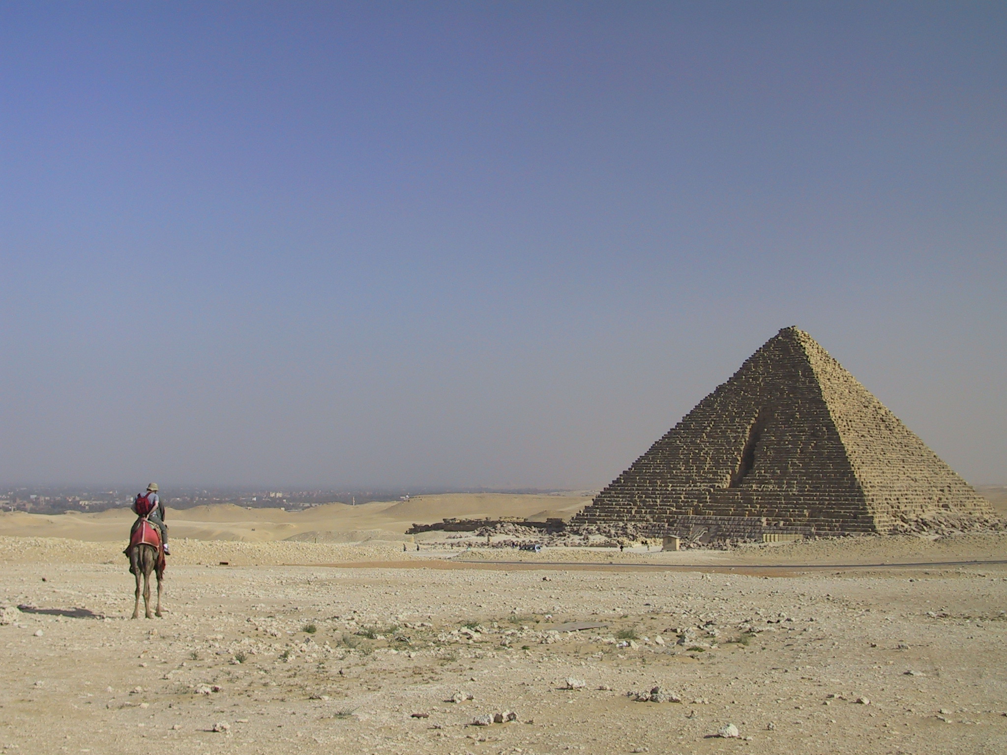Promenade en chameau  Giza