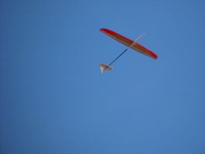 DSC02912.jpg