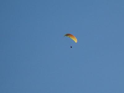 DSC02922.jpg