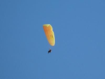 DSC02924.jpg