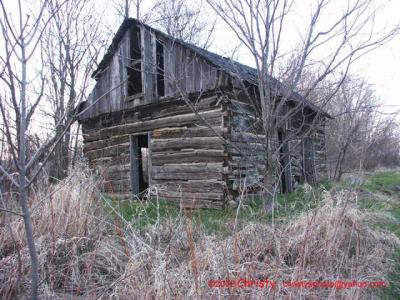 Cabin4-23-02--017.jpg